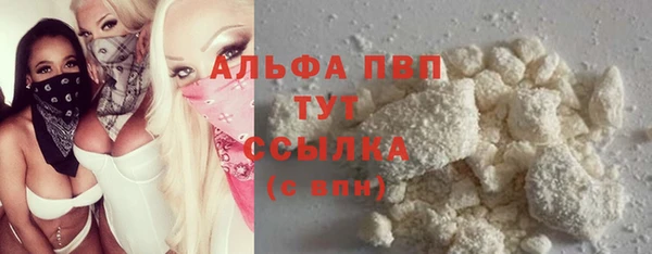 стаф Новодвинск