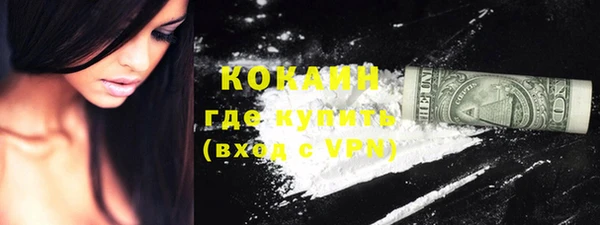 стаф Новодвинск