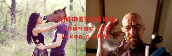 стаф Новодвинск