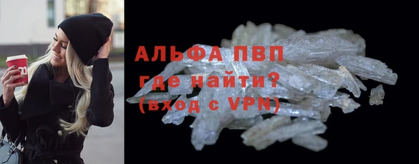 стаф Новодвинск