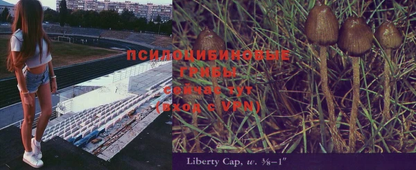 мяу мяу мука Новозыбков