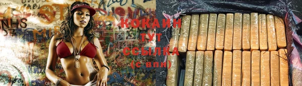 мяу мяу мука Новозыбков