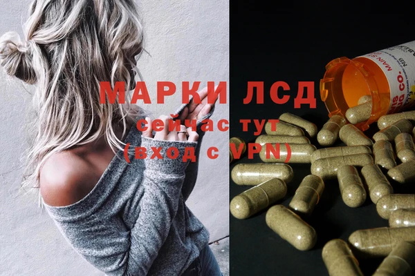 стаф Новодвинск