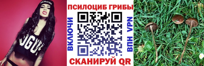 Купить где  Кировград  Галлюциногенные грибы GOLDEN TEACHER 