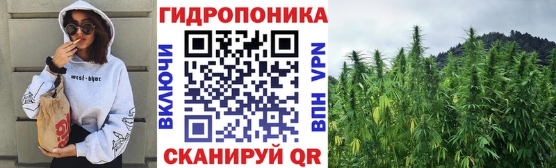 Купить где  Кировград  Канабис OG Kush 